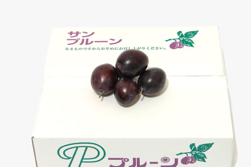 干しプルーンじゃないよ！日本初の生プルーンは土屋果樹園発祥の「サンプルーン」画像2