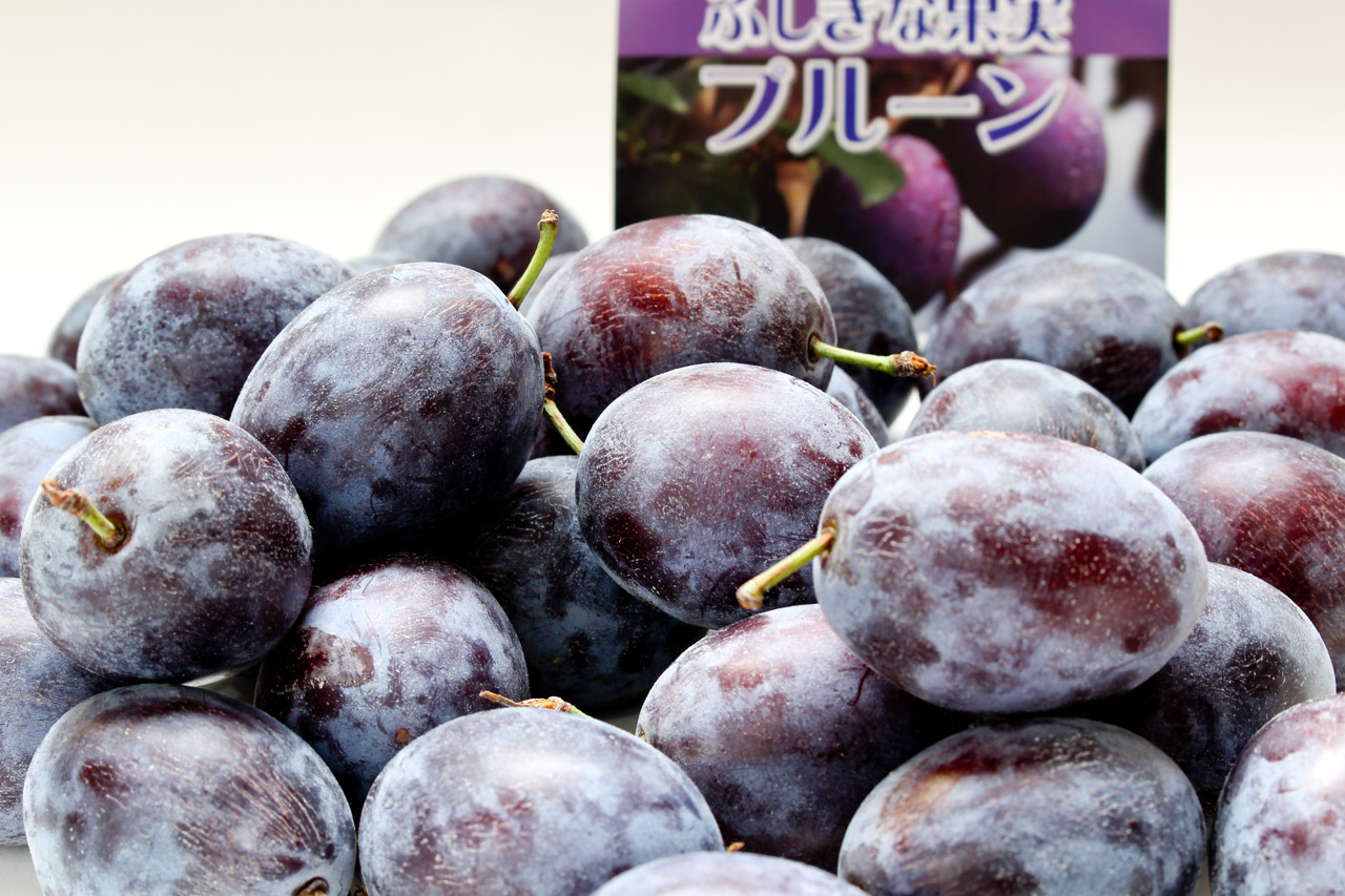 干しプルーンじゃないです。日本初の生プルーンは土屋果樹園発祥の「サンプルーン」画像1
